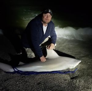 Meet your Posher, Harry